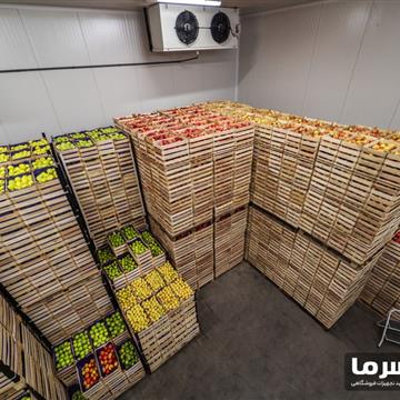 سردخانه میوه
