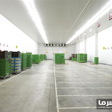 سردخانه میوه