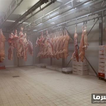 سردخانه گوشت