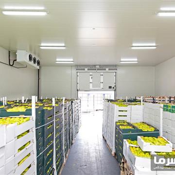 سردخانه میوه