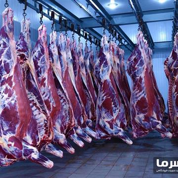 سردخانه گوشت