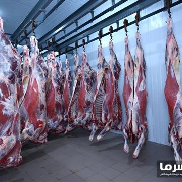 سردخانه گوشت بالای صفر