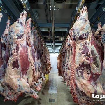 سردخانه گوشت زیر صفر