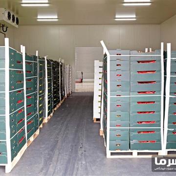 سردخانه میوه بالای صفر