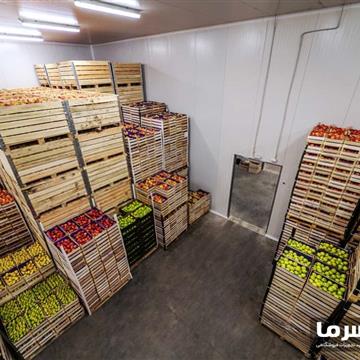 سردخانه میوه