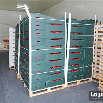 سردخانه میوه بالای صفر