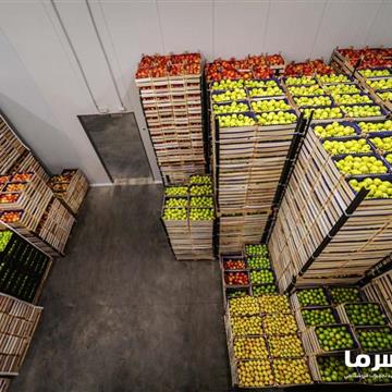 سردخانه میوه
