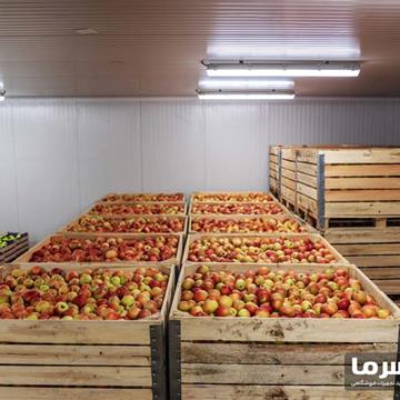سردخانه میوه