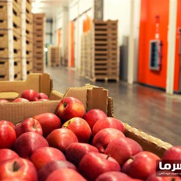 سردخانه میوه