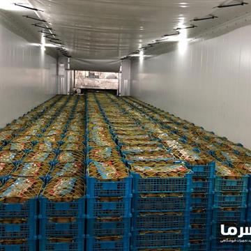 سردخانه میوه بالای صفر