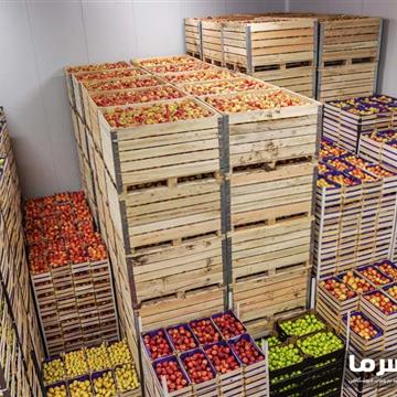 سردخانه میوه زیر صفر
