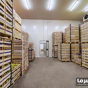 سردخانه میوه و سبزیجات