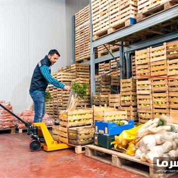 سردخانه میوه و سبزیجات