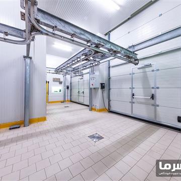 سردخانه مرغ