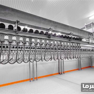 سردخانه مرغ