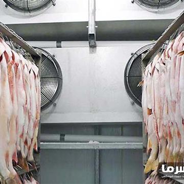 سردخانه ماهی