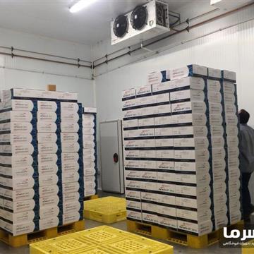 سردخانه ماهی