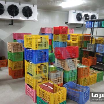 سردخانه لبنیات بالای صفر