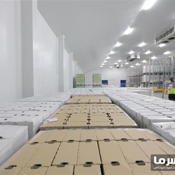 سردخانه لبنیات زیر صفر