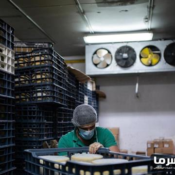 سردخانه لبنیات بالای صفر