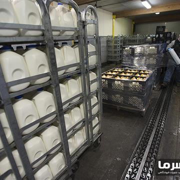 سردخانه لبنیات بالای صفر