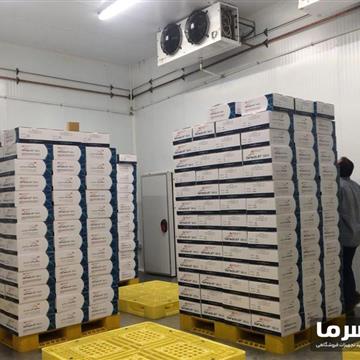 سردخانه دارو