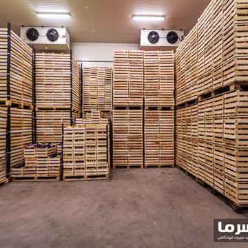 سردخانه مرکبات