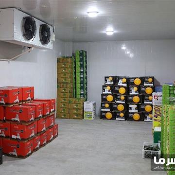 سردخانه مرکبات
