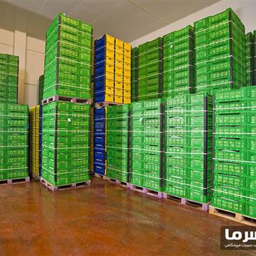 سردخانه مرکبات