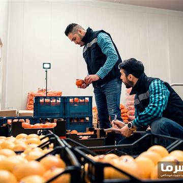 سردخانه مرکبات