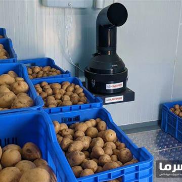 سردخانه سیب زمینی