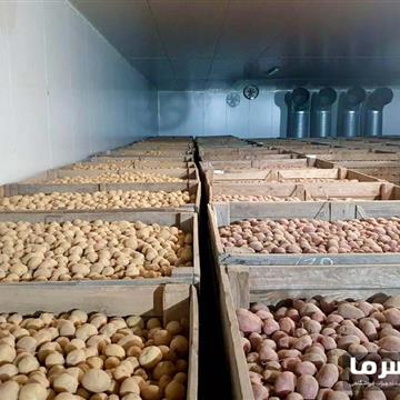 سردخانه سیب زمینی