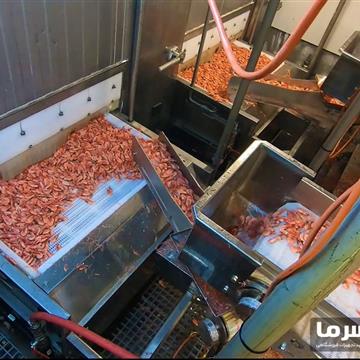 تونل انجماد