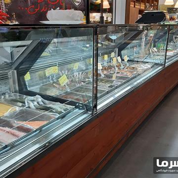 یخچال پروتئینی