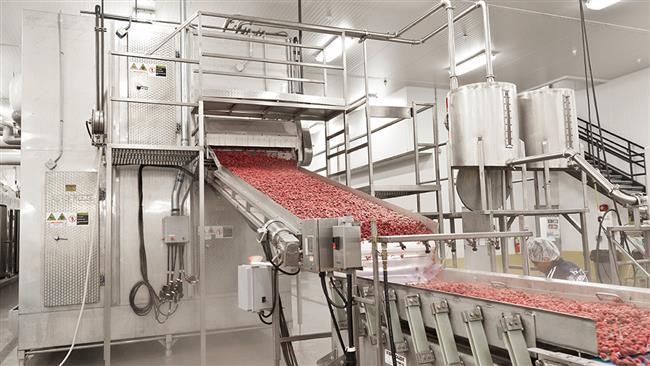 سردخانه تونل انجماد