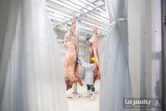 سردخانه هایپرمارکت